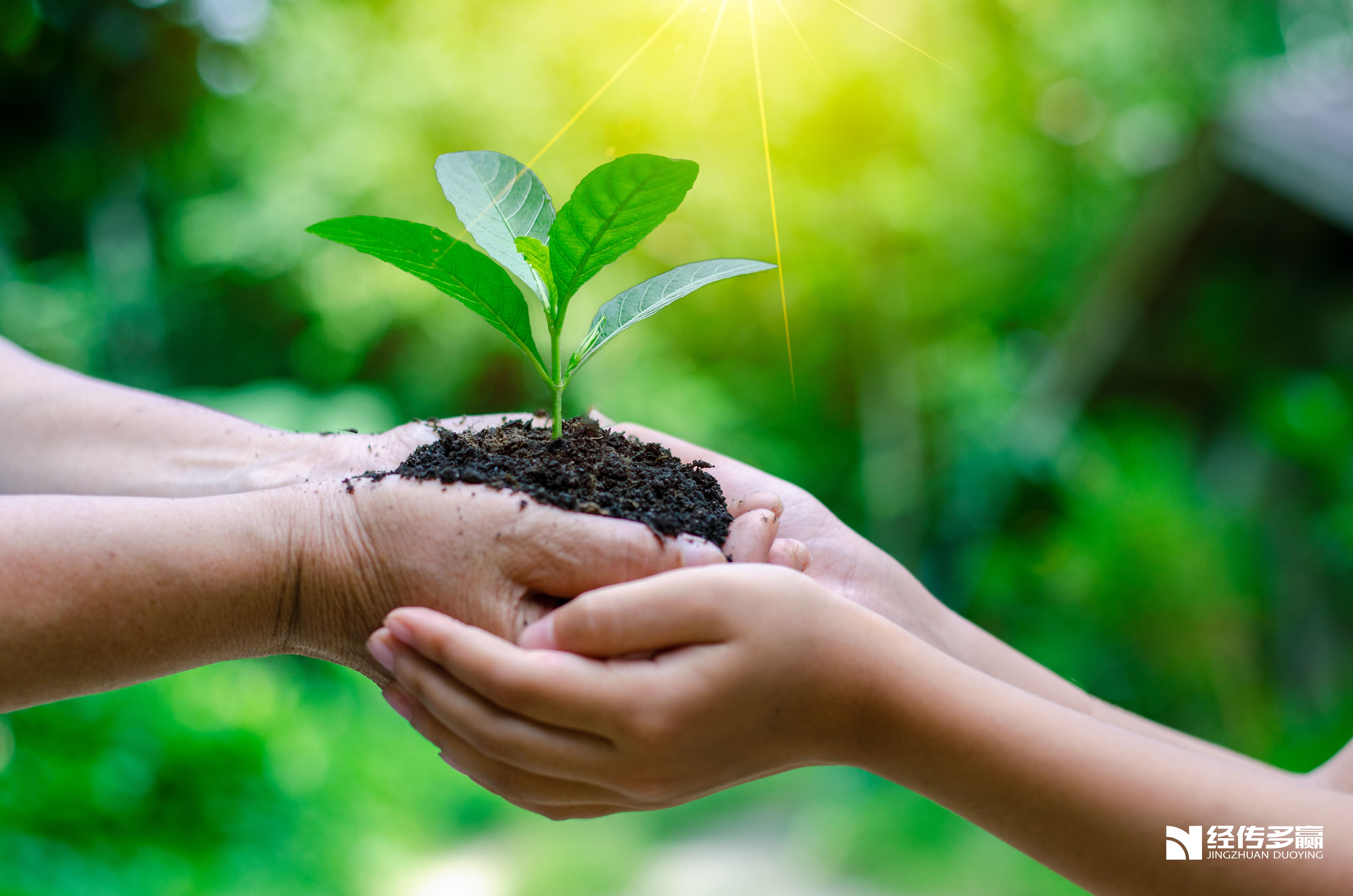 期待春晚，AI大战，机器人大战