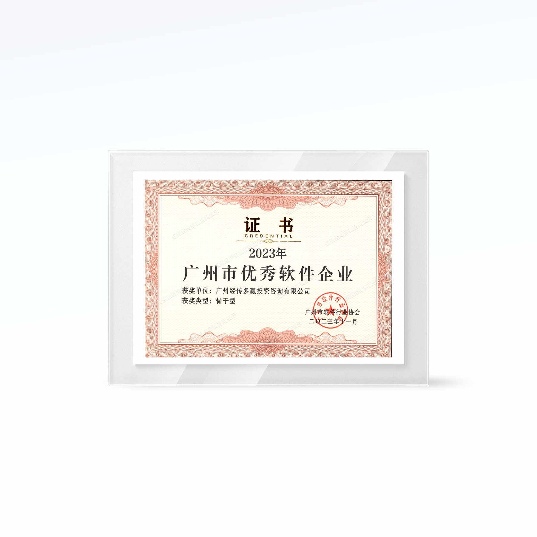 广州市优秀软件企业-骨干型