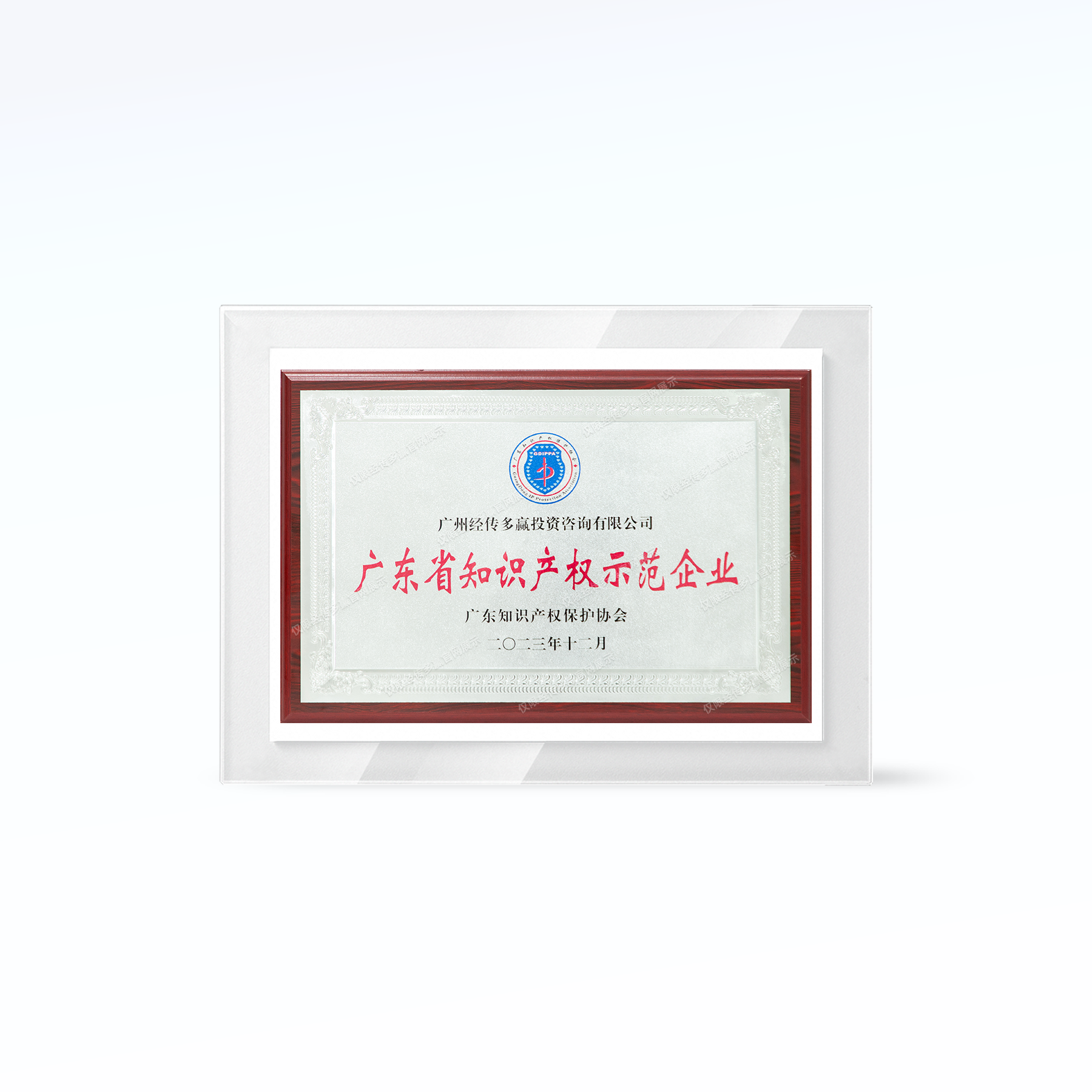 广东省知识产权示范企业