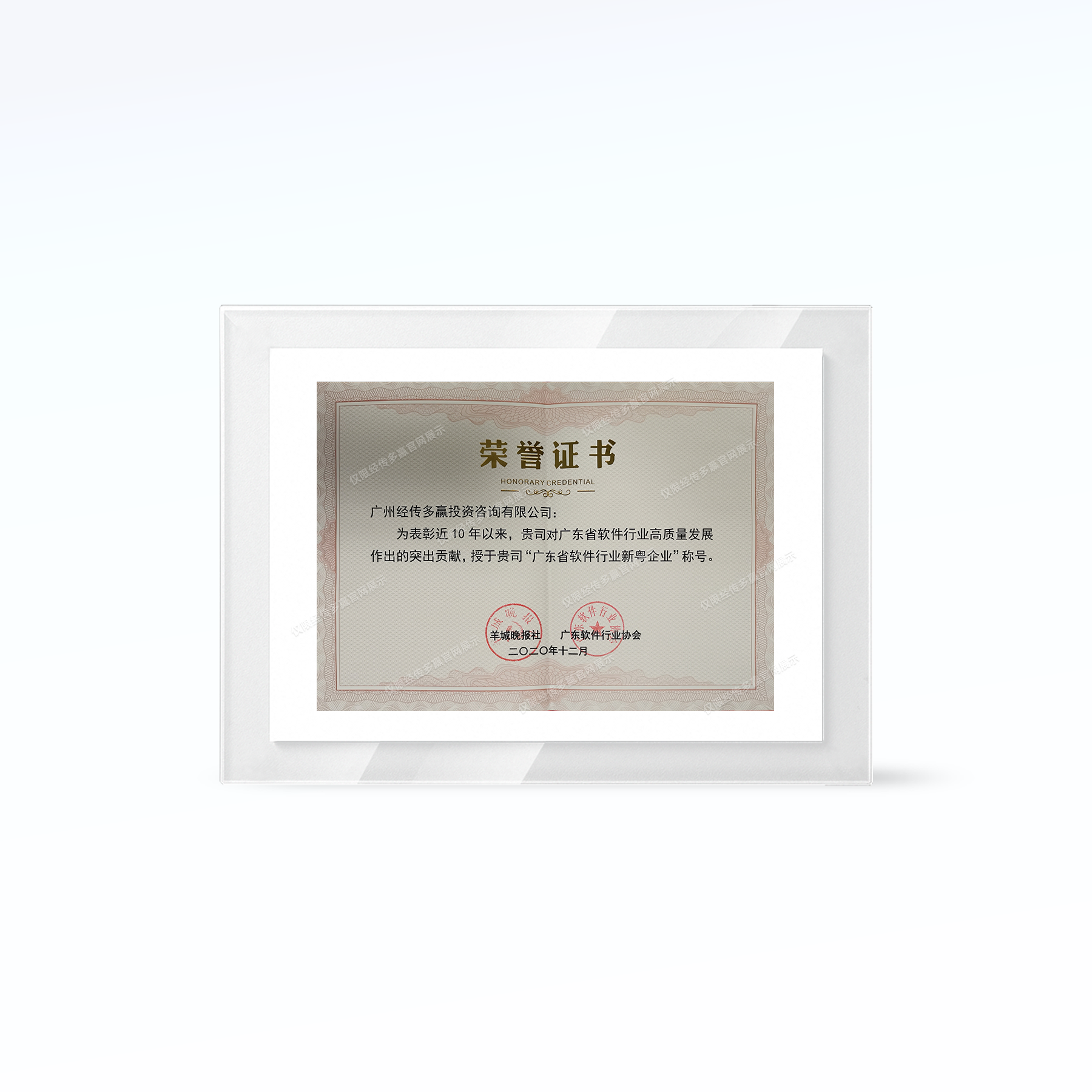 新粤企业