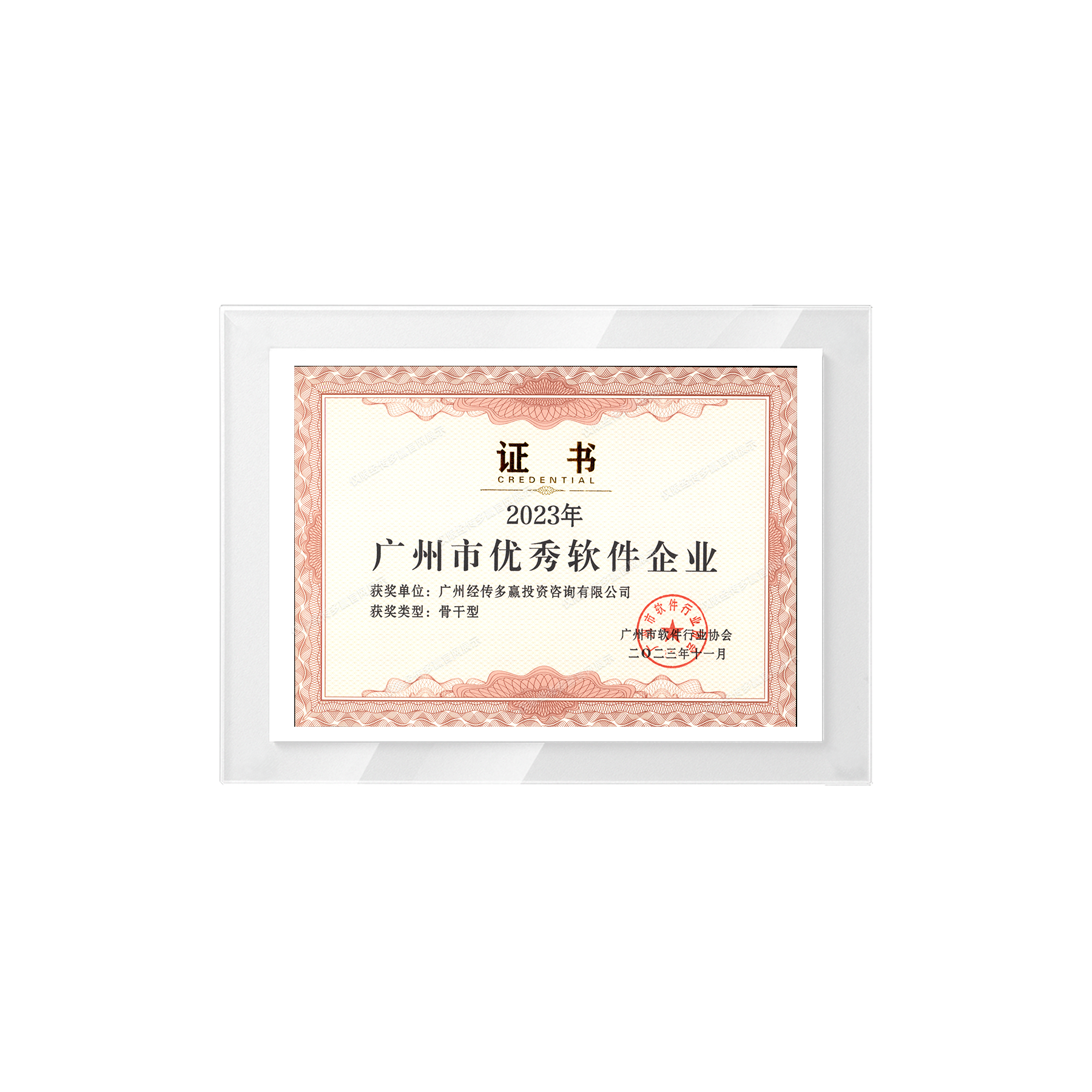 广州市优秀软件企业-骨干型