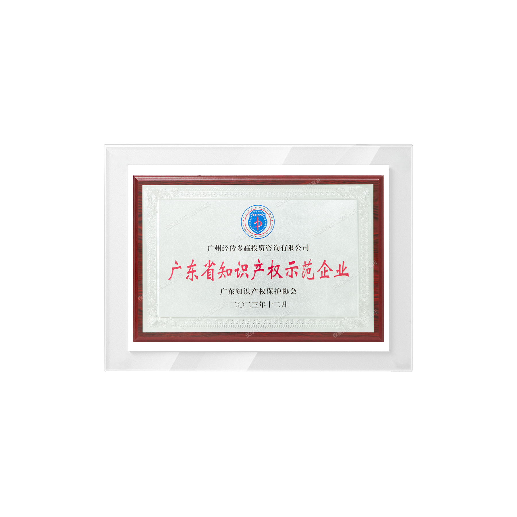 广东省知识产权示范企业