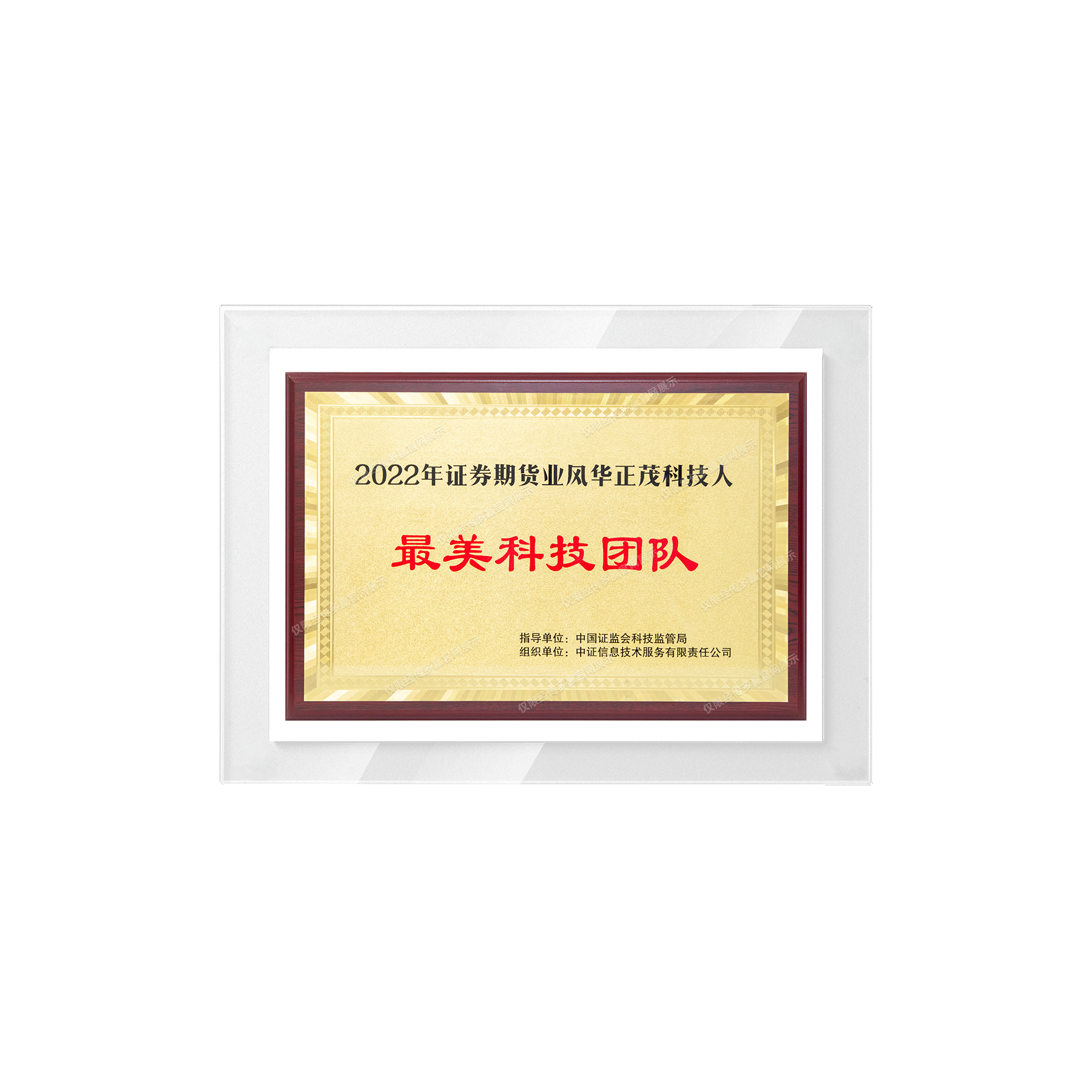 年度证券期货业风华正茂科技人最美科技团队